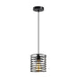 Industrial Metal Black Bulb Guard Wire Cage Ceiling Pendant Lighting~6018-1