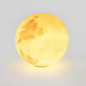 LED Moon Indoor & Outdoor Floor Lamp